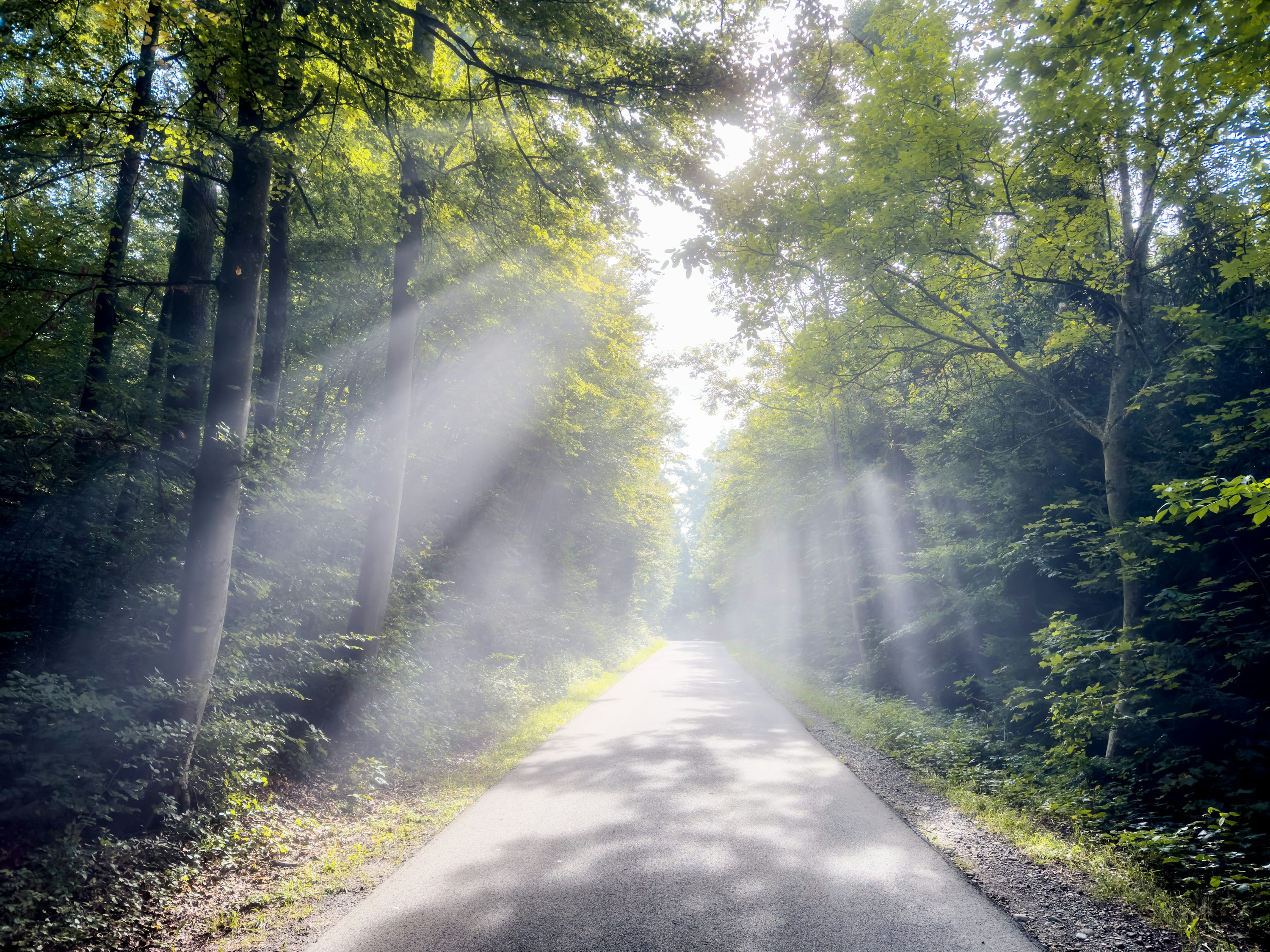 표면적 증상만이 아닌
통합적 시각으로 환자를 바라봅니다.